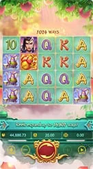 aplikasi · Lgd Monkey Kg